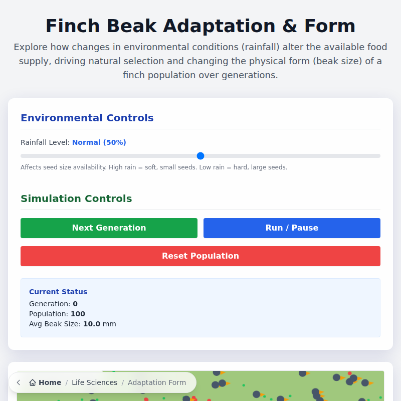 Finch Beak Adaptation & Form