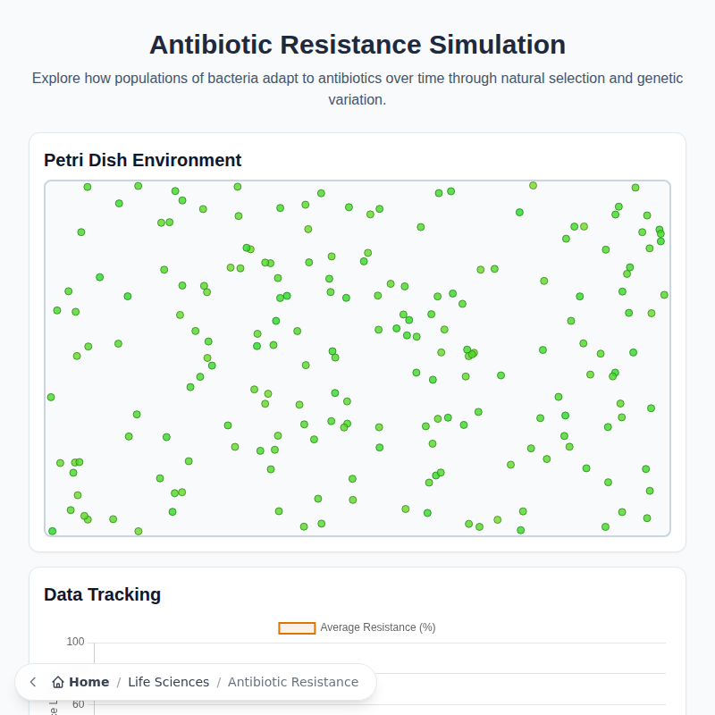 Antibiotic Resistance Simulation
