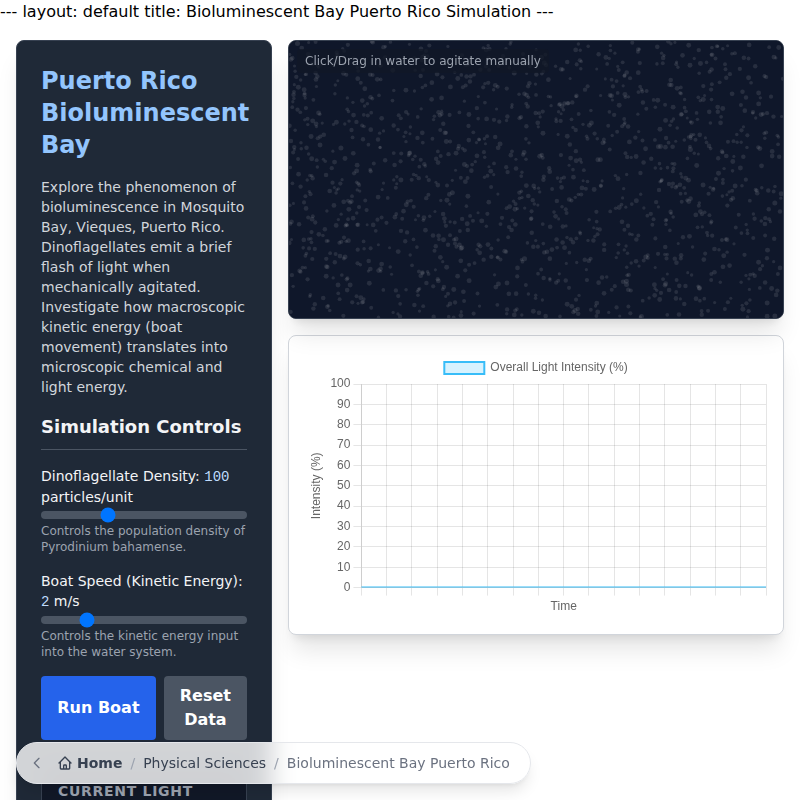 Puerto Rico Bioluminescent Bay