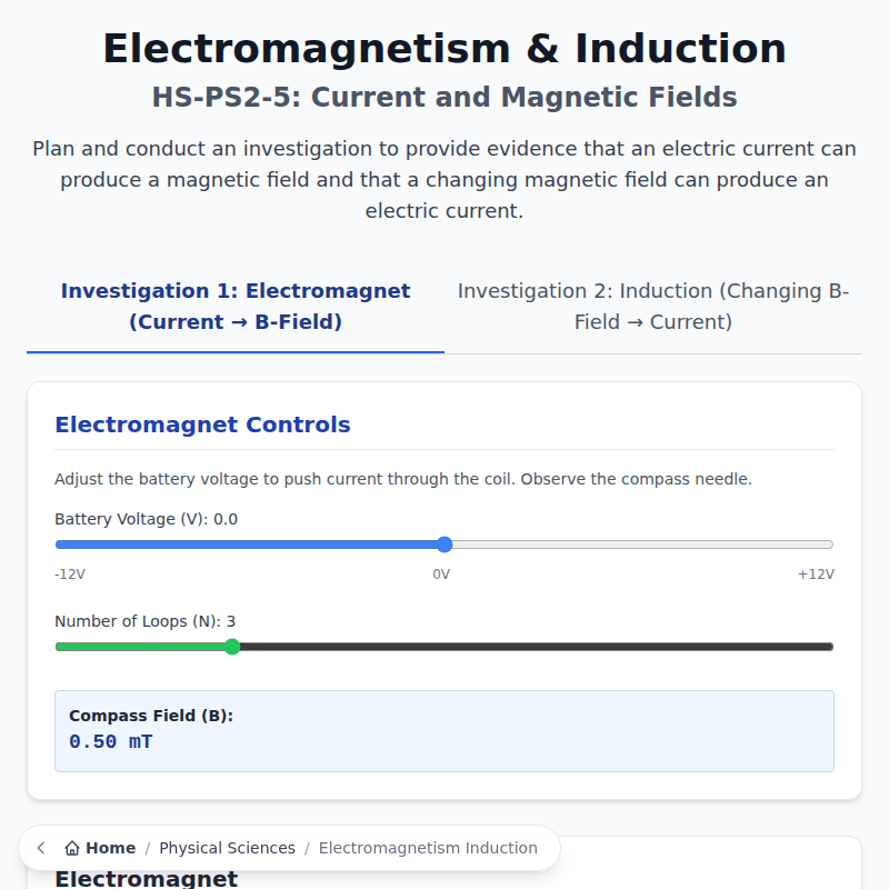 Electromagnetism & Induction Sandbox