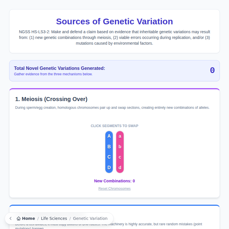 Sources of Genetic Variation Model