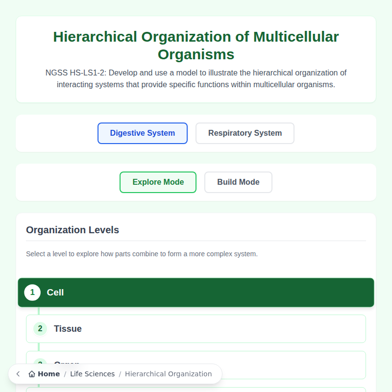Organización jerárquica de sistemas interactivos