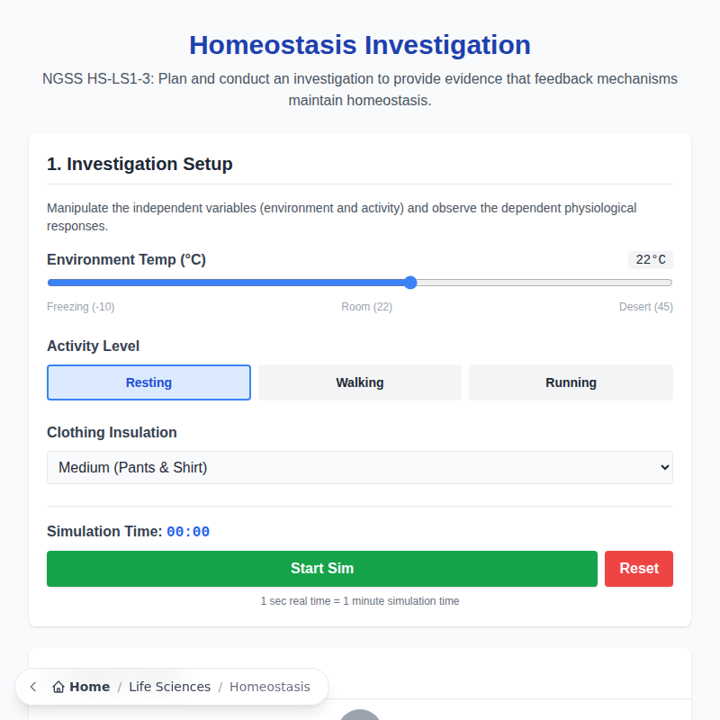 Homeostasis and Feedback Mechanisms Investigation