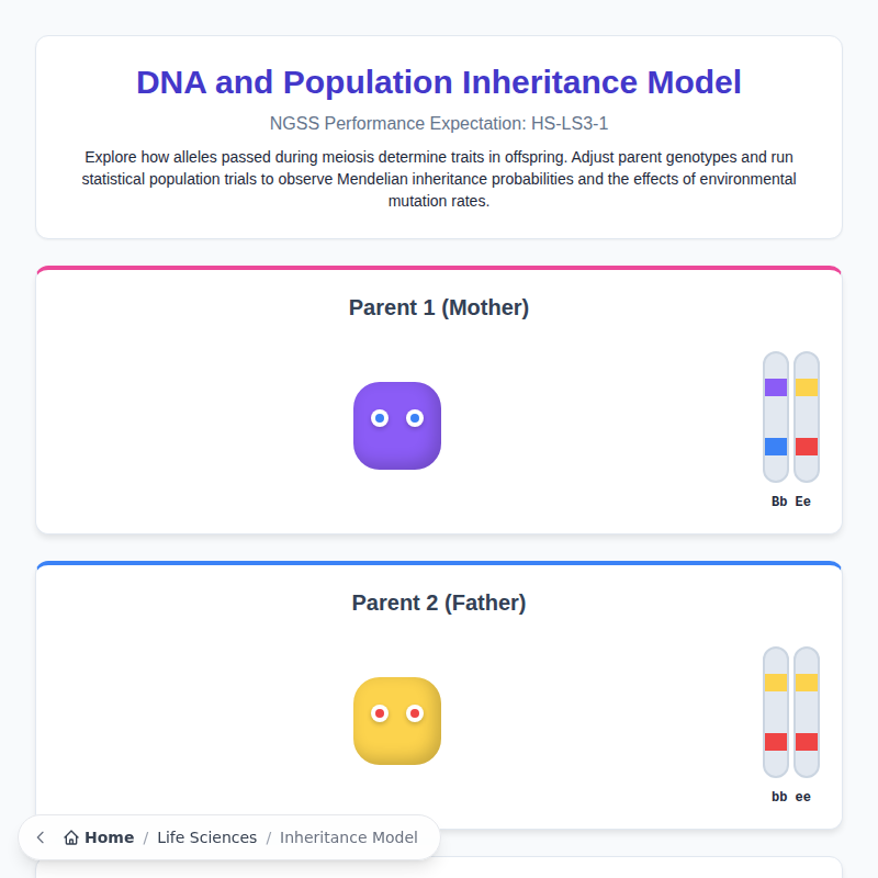 DNA and Inheritance Model