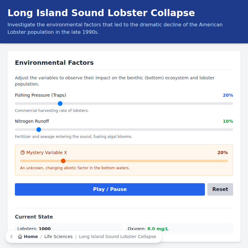 Long Island Sound Lobster Collapse