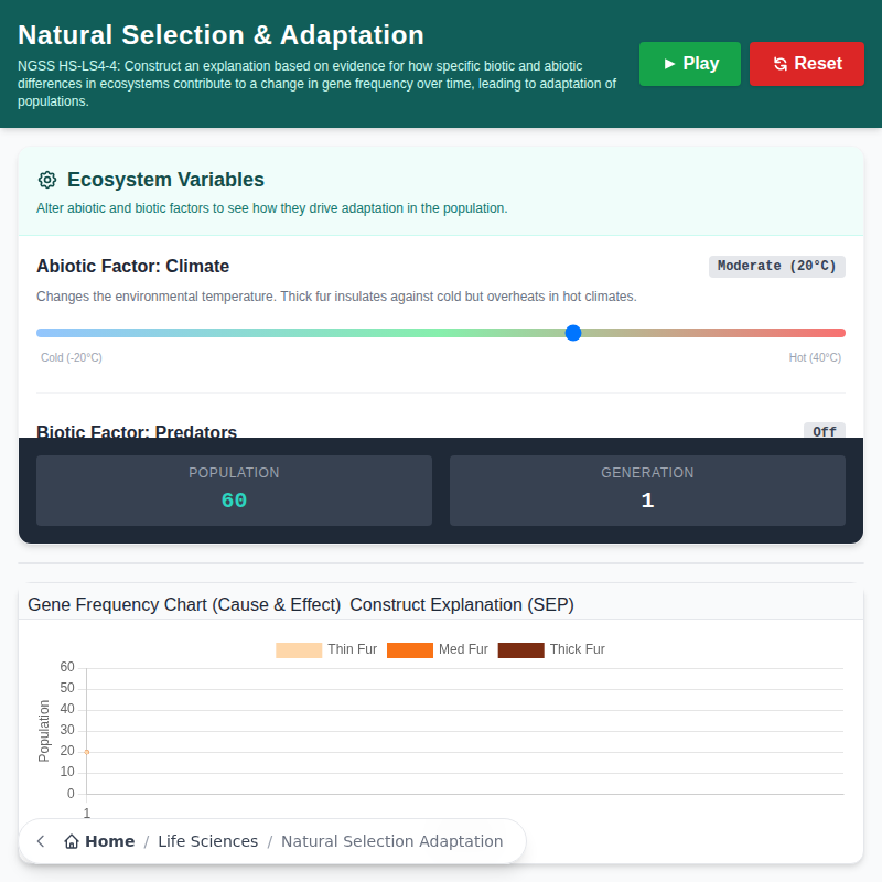 Selección natural y adaptación