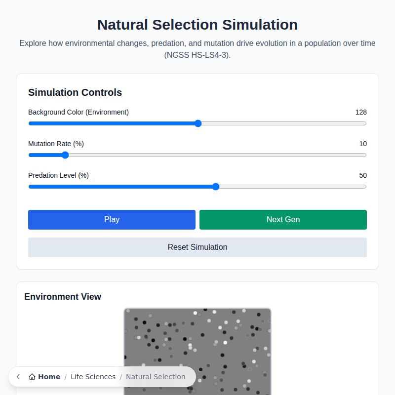 Natural Selection Simulation