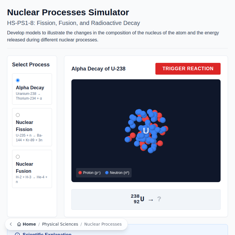 Nuclear Processes Simulator