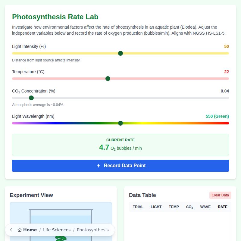 Photosynthesis Rate Lab