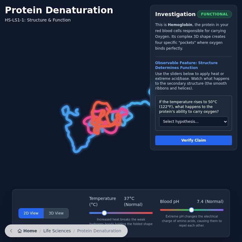 Protein Unfolding & Denaturation