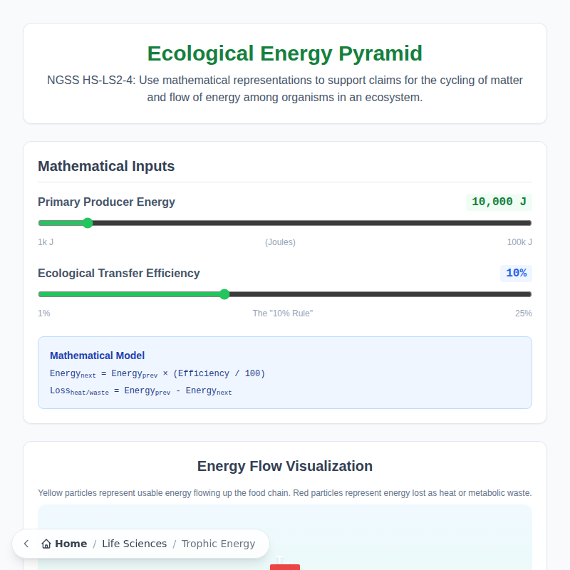 Trophic Energy Pyramid Model