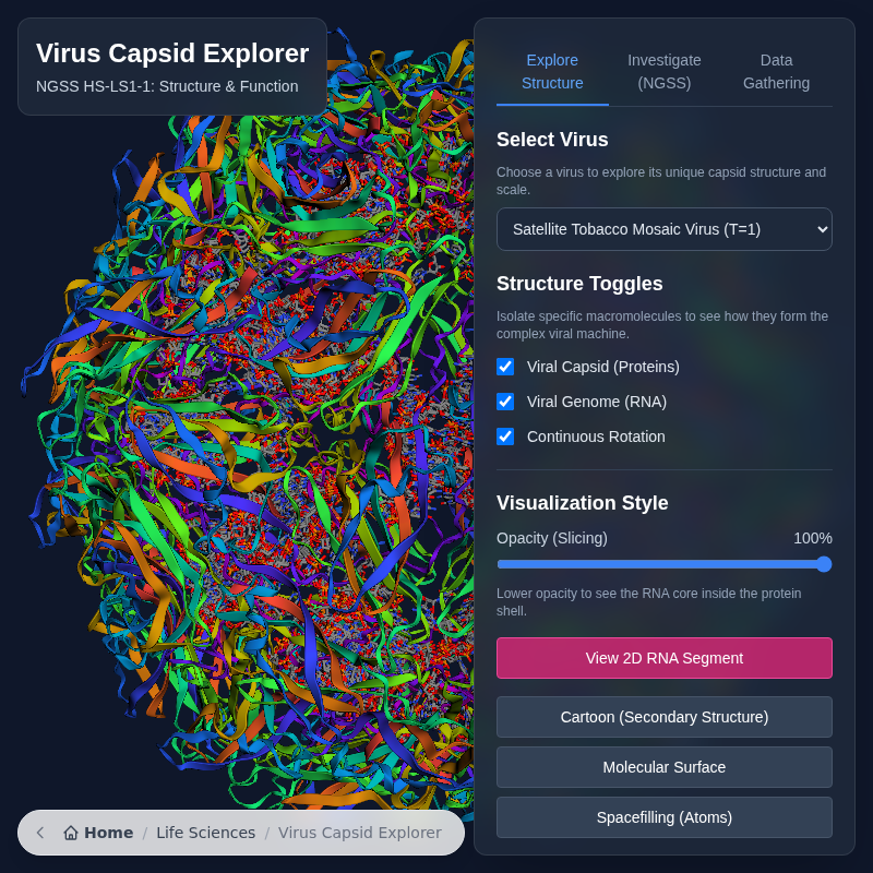 Virus Capsid Explorer